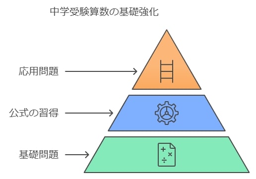 基本知識の強化